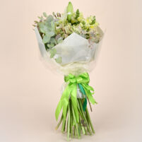 Ivory Lime Grace