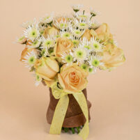 Apricot Snowburst