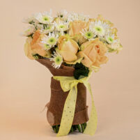 Apricot Snowburst