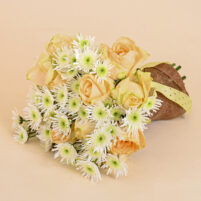 Apricot Snowburst