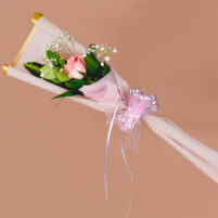 Blush Pearl Rose