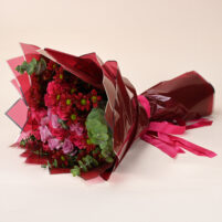 Crimson Plum Romance