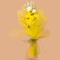 Golden Yellow Bliss