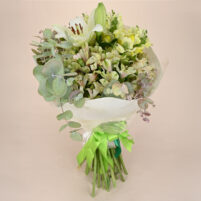Ivory Lime Grace