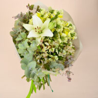 Ivory Lime Grace