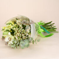 Ivory Lime Grace