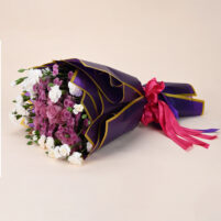 Lavender Blush Harmony
