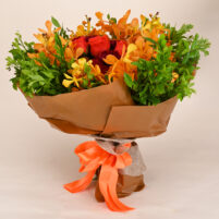 Orange Orchid Glow