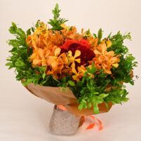 Orange Orchid Glow