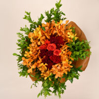 Orange Orchid Glow