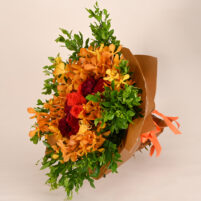 Orange Orchid Glow