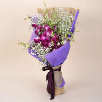 Orchid Mist Grace