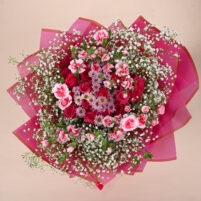 Pink Baby’s Breath Bloom