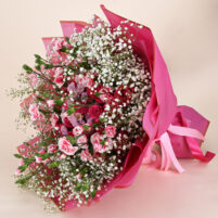 Pink Baby’s Breath Bloom