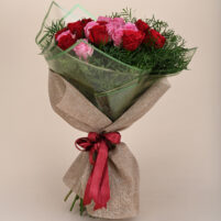 Red Pink Rose Garden