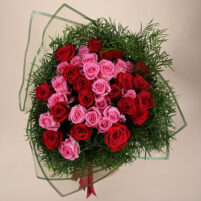 Red Pink Rose Garden