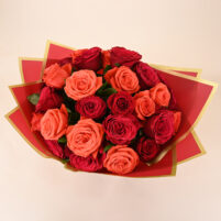 Ruby and Coral Royale Rose