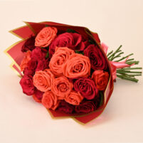 Ruby and Coral Royale Rose