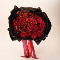 Velvet Rouge Noir