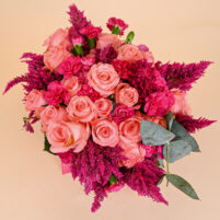Blush Berry Bloom