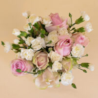 Blush Ivory Grace