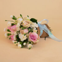 Blush Ivory Grace