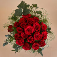 Crimson Kiss