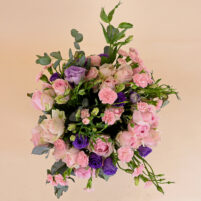Lavender Blush