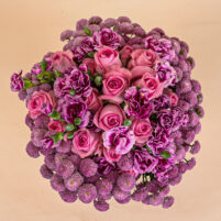 Rosy Lavender Grace