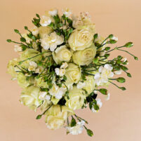 White Whisper Bloom
