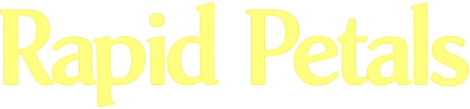 logo1-1-e1772269634395.png